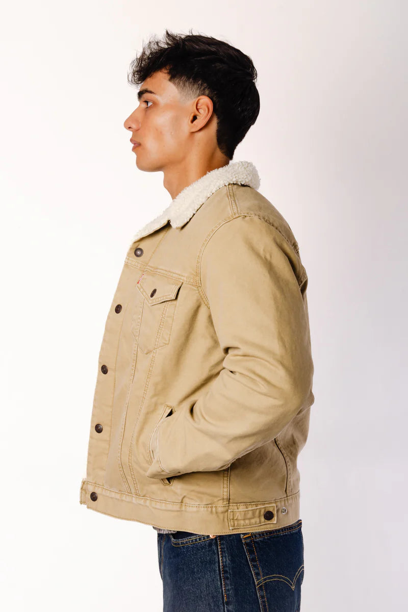 TYPE 3 SHERPA TRUCKER JACKET (Harvest Gold) | LEVI'S shown on model from the side, featuring cozy sherpa lining and durable denim.