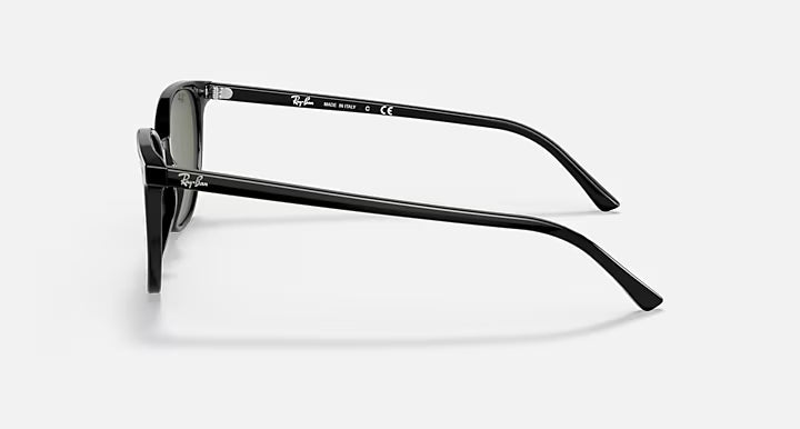 ELLIOT SUNGLASSES (BLACK) | RAYBAN