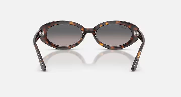 OVAL SUNGLASSES (HAVANA) | RAYBAN