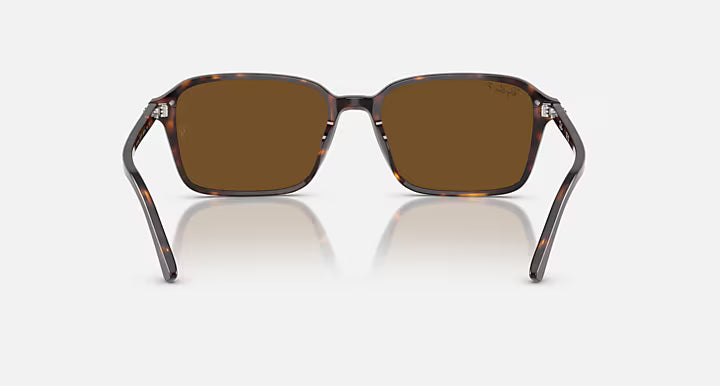 ZURI SUNGLASSES (HAVANA) | RAYBAN
