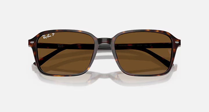 ZURI SUNGLASSES (HAVANA) | RAYBAN
