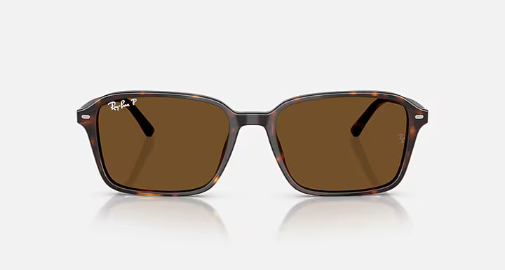 ZURI SUNGLASSES (HAVANA) | RAYBAN