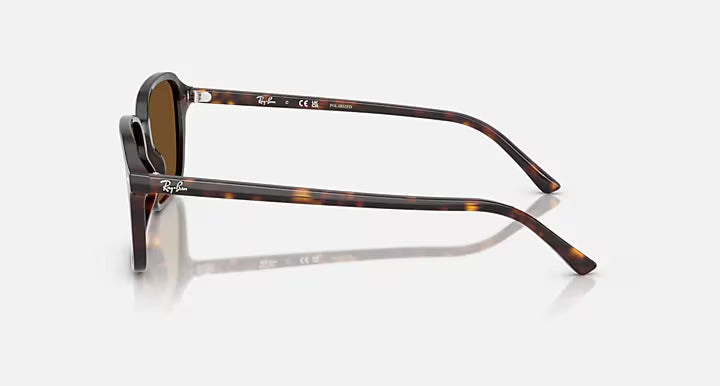 ZURI SUNGLASSES (HAVANA) | RAYBAN