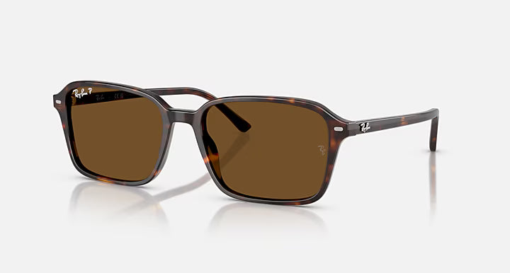 ZURI SUNGLASSES (HAVANA) | RAYBAN