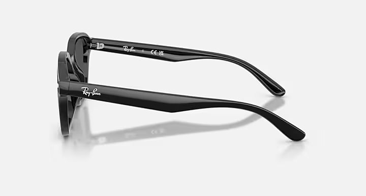 SQUARE SUNGLASSES (BLACK POLARIZED) | RAYBAN