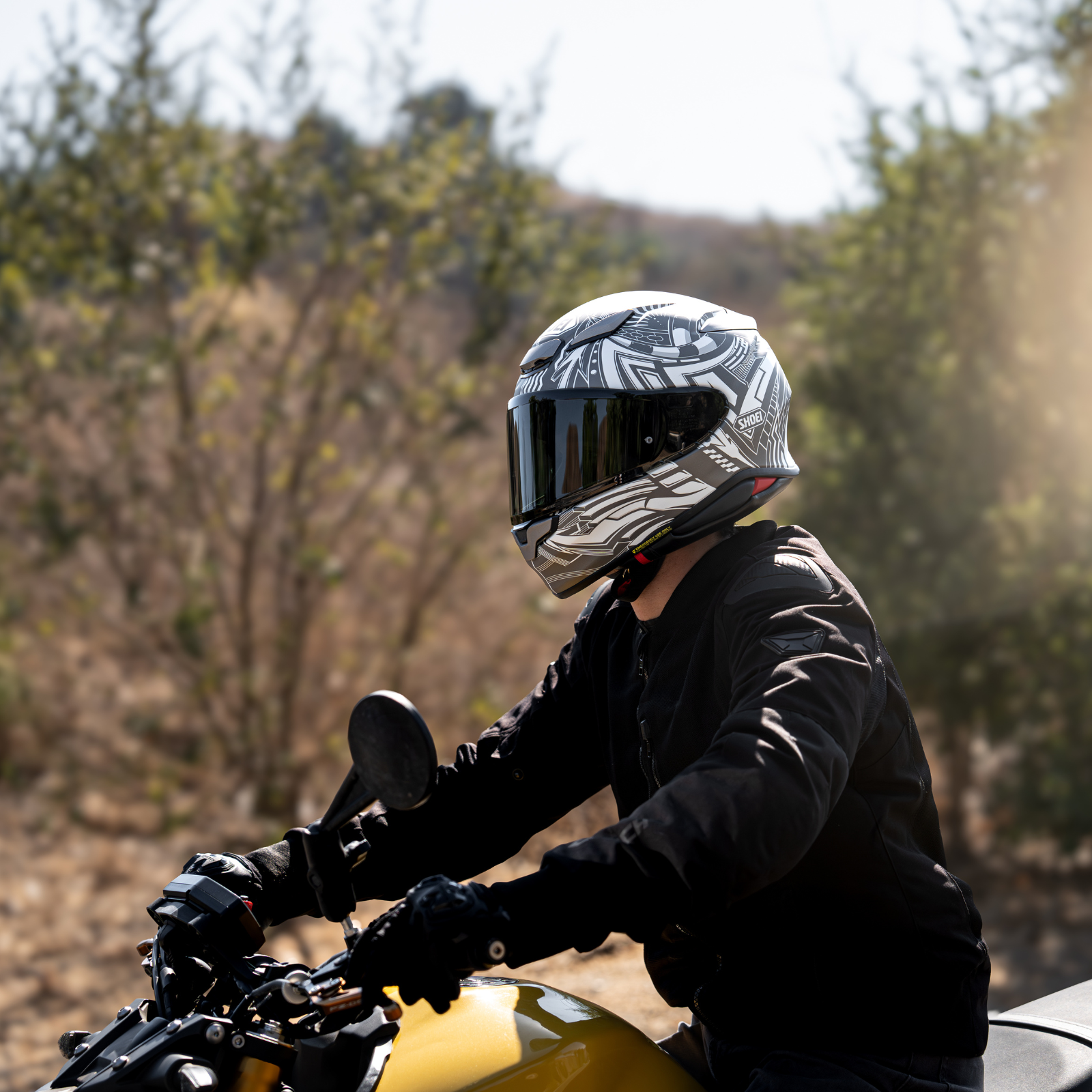 RF-1400 BEAUT TC-6 (Matte Finish) FULL FACE HELMET | SHOEI